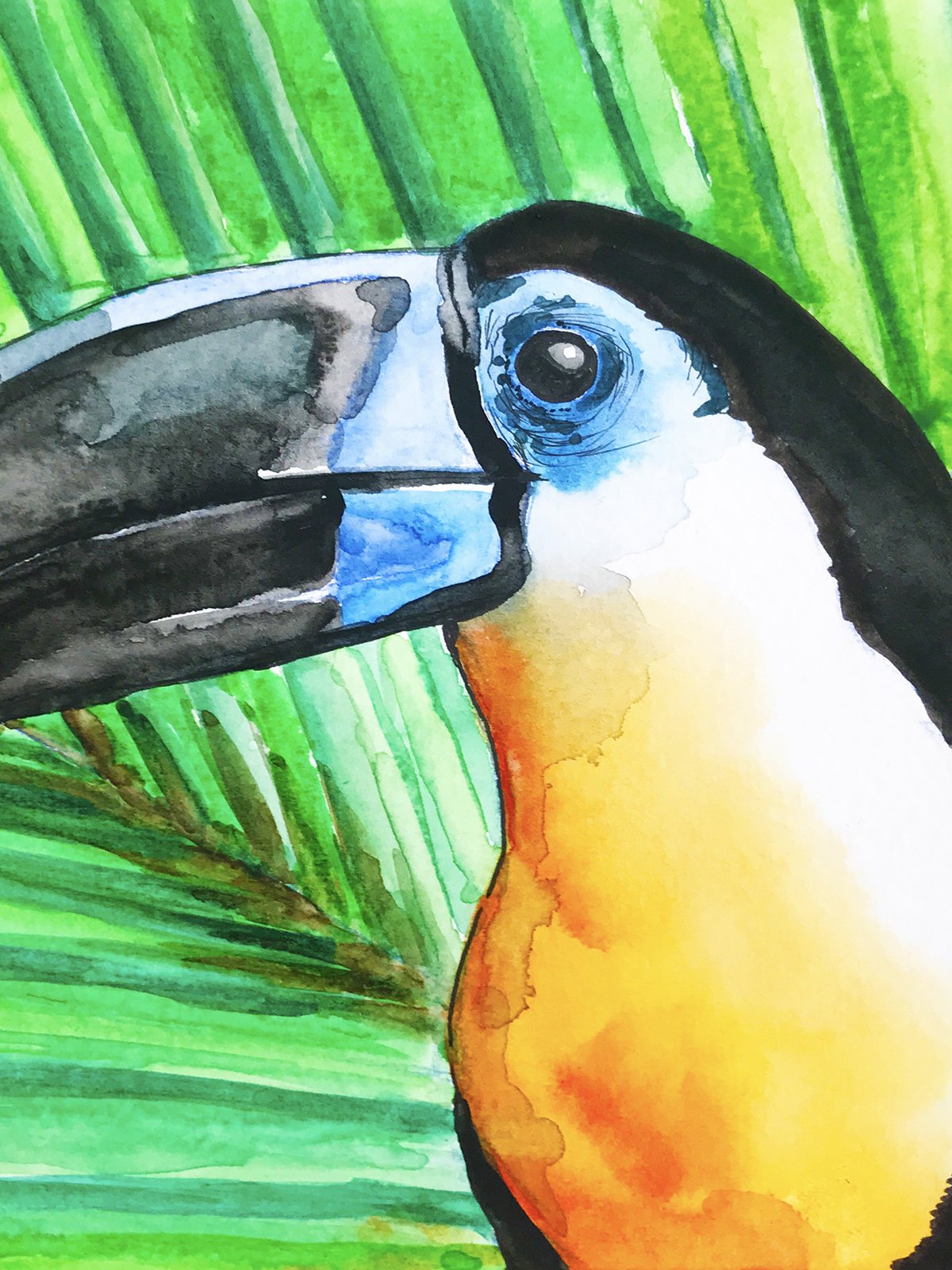 Toucan Watercolour © JJPotter