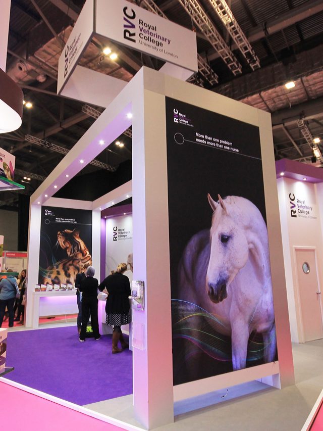 Vet Show Stand