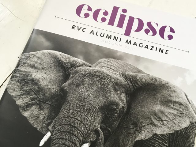 Eclipse Magazine Cover